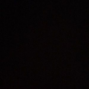 Meet your Posher, Ryder